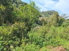 Qh.08: PROCESSO Nº 5019911-50.2018.4.04.7107 -  Uma área de terras rurais...