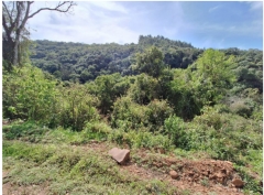 Qh.08: PROCESSO Nº 5019911-50.2018.4.04.7107 -  Uma área de terras rurais...