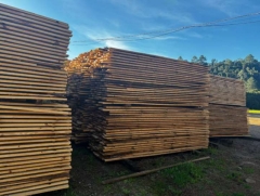 Ga.01: PROCESSO Nº 5001155-50.2019.8.21.0058 ▬ Madeira de pinus...