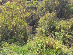 Qh.08: PROCESSO Nº 5019911-50.2018.4.04.7107 -  Uma área de terras rurais...