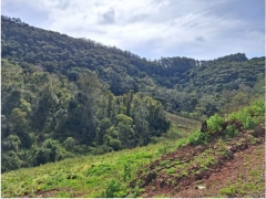 Qh.08: PROCESSO Nº 5019911-50.2018.4.04.7107 -  Uma área de terras rurais...