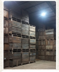 D.01: PROCESSO Nº 5006051-84.2015.4.04.7107 ▬ 3.467 bins de madeira 