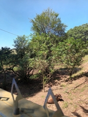 Le.01: PROCESSO Nº 5053751-19.2023.8.21.0010 ▬ Uma fração ideal de...