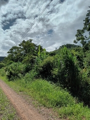 Venda direta 05: PROCESSO N? 5019911-50.2018.4.04.7107 - Um area de terras...